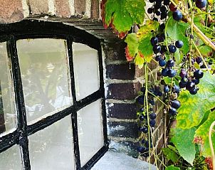 Guest house 287103 - Bed and Breakfast Rivierengebied - Huisje in Maasbommel