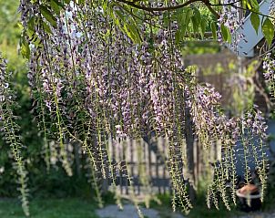 Guest house 287103 - Bed and Breakfast Rivierengebied - Huisje in Maasbommel