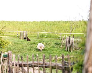 Guest house 287103 - Bed and Breakfast Rivierengebied - Huisje in Maasbommel