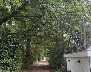 Guest house 287108 - Holiday property Rivierengebied - Vakantiehuisje in Maasbommel