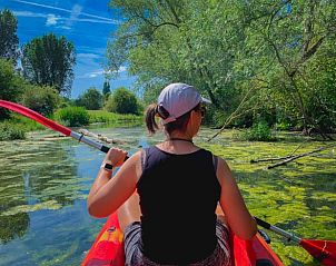 Guest house 287114 - Holiday property Rivierengebied - Vakantiehuis in Maasbommel