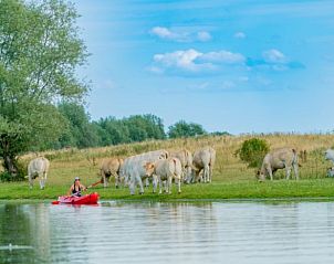 Guest house 287114 - Holiday property Rivierengebied - Vakantiehuis in Maasbommel