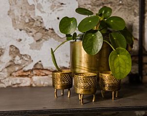 Guest house 287202 - Holiday property Rivierengebied - Vakantiehuisje in Beneden-Leeuwen