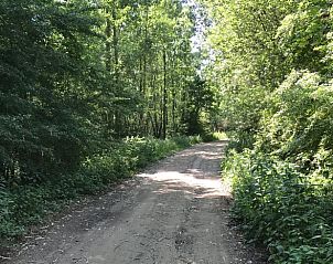 Unterkunft 287302 - Ferienhaus Rivierengebied - Vakantiehuis in Rossum