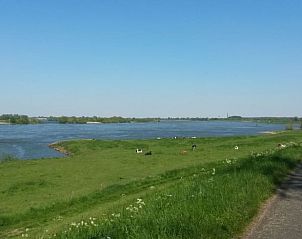 Unterkunft 287302 - Ferienhaus Rivierengebied - Vakantiehuis in Rossum