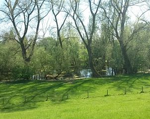 Unterkunft 287302 - Ferienhaus Rivierengebied - Vakantiehuis in Rossum