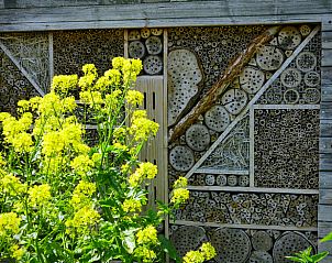 Unterkunft 287302 - Ferienhaus Rivierengebied - Vakantiehuis in Rossum