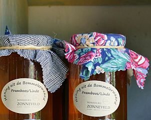 Unterkunft 287302 - Ferienhaus Rivierengebied - Vakantiehuis in Rossum