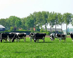 Unterkunft 287302 - Ferienhaus Rivierengebied - Vakantiehuis in Rossum