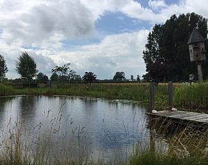 Rustgevende vijver bij Vakantiehuisje in Toldijk, omgeven door natuur in Rivierengebied, Gelderland.