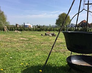 Uitgestrekte groene velden bij Vakantiehuisje in Toldijk, perfecte plek voor natuurbeleving in Rivierengebied, Gelderland.