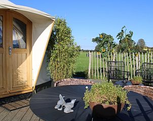 Zonnig terras bij Vakantiehuisje in Toldijk, Rivierengebied, Gelderland met uitzicht op groen.