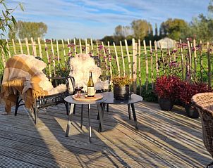 Gezellig terras met wijn in Vakantiehuisje in Toldijk, Rivierengebied, Gelderland.