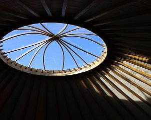 Luchtfoto van Vakantiehuisje in Toldijk, Rivierengebied, Gelderland met omliggende natuur.