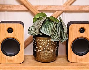 Luidsprekers en planten in Huisje in Toldijk, vakantiewoning in Toldijk, Gelderland.