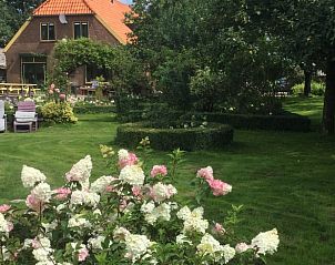 Bloemrijke tuin bij Vakantiehuis in Toldijk, ideaal voor een ontspannen verblijf in Gelderland.