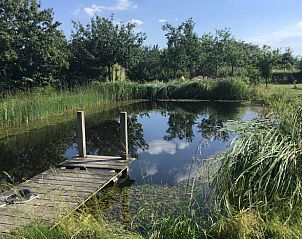 Verblijf 287407 - Vakantiewoning Rivierengebied - Vakantiehuis in Toldijk