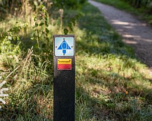 Groene tuin met bloeiende struiken bij DG1742 vakantiehuis in Toldijk, Rivierengebied.
