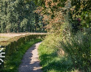 Houten trap in DG1742 vakantiehuis in Toldijk, leidt naar de gezellige slaapkamer.