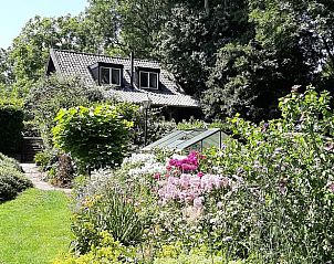 Unterkunft 287501 - Ferienhaus Rivierengebied - Huisje in Dodewaard