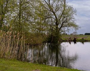 Rustige waterkant bij Huisje in Heesselt, vakantiehuis in Rivierengebied.
