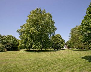 Grote tuin met volwassen bomen bij Huisje in Kerk-Avezaath, Gelderland.