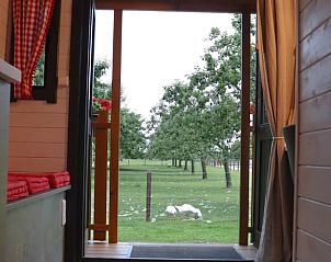 Uitzicht op groene weiden vanuit Vakantiehuis in Opheusden, ontspannen in Rivierengebied, Gelderland.