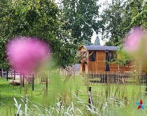 Pittoresk uitzicht op Vakantiehuis in Opheusden vanuit de tuin, geniet van de natuur in Rivierengebied, Gelderland.