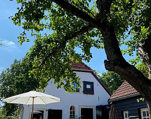 Tuin van Vakantiehuisje in Neerijnen, Gelderland, met groene bomen en zonnig terras voor ontspanning.