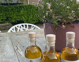 Lokale producten op tafel in Vakantiehuisje in Neerijnen, Gelderland, met ambachtelijke olin en planten.