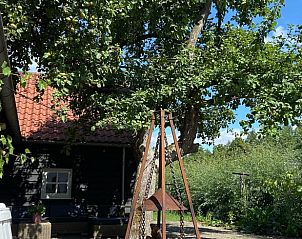 Schaduwrijke tuin van Vakantiehuisje in Neerijnen, Rivierengebied met grote boom en ontspannen sfeer.