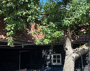 Gezellige buitenruimte van vakantiehuisje in Neerijnen, omringd door groen in het Rivierengebied.