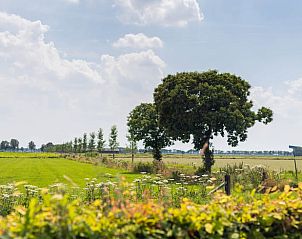 Verblijf 289501 - Vakantiewoning Rivierengebied - Vakantiehuis in Duiven