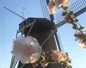 Verblijf 289601 - Vakantiewoning Rivierengebied - Huisje in Geldermalsen