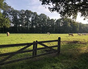 Lichte woonkamer van vakantiehuis DG312 in Winterswijk met uitzicht op de tuin.