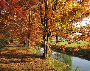 Uitzichttoren in de natuur vlakbij vakantiehuis DG312 in Winterswijk, Achterhoek.