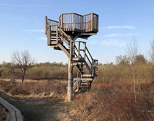 Landelijk uitzicht met grazende koeien nabij vakantiehuis DG312 in Winterswijk, Achterhoek.
