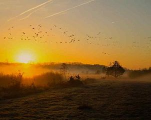Picknickplek in de natuur rondom DG312 in Winterswijk, ideaal voor ontspanning.
