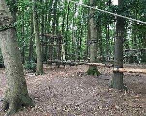 Guest house 290111 - Holiday property Achterhoek - DG778