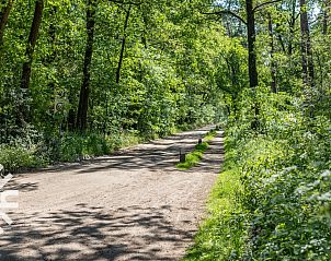 Zijaanzicht van DG238 vakantiehuis Winterswijk Achterhoek met ruime oprit.