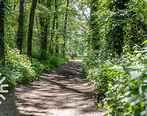 Slaapkamer met houten details in DG238 vakantiehuis Winterswijk Achterhoek en uitzicht.