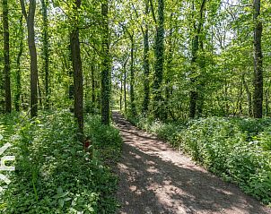 Stijlvolle badkamer in DG238 vakantiehuis Winterswijk Achterhoek met moderne inrichting.