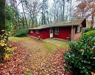 Natuurgebied Bek en Delle, op 15 minuten rijden van DG1532, Winterswijk, Achterhoek, Gelderland.
