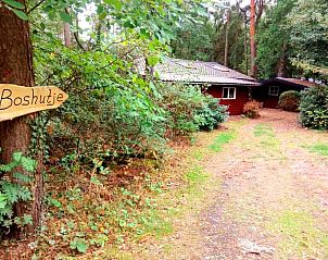 Achterzijde van vakantiehuis DG1532 in Winterswijk, omgeven door herfstbladeren, Achterhoek, Gelderland.