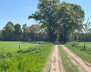 Rural road near Holiday home in Winterswijk, ideal for walks in the Achterhoek.