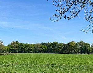 Vast green meadows in the vicinity of Holiday home in Winterswijk, Achterhoek.