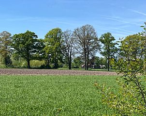 Beautiful landscape around Holiday home in Winterswijk with trees and open fields.