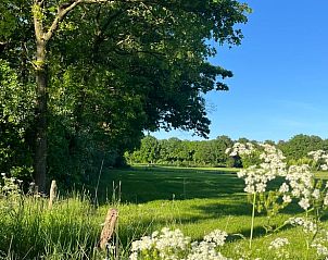 Quiet green surroundings at Holiday home in Winterswijk, ideal for relaxation.