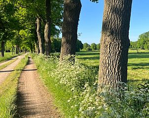 Rural road surrounded by trees near Holiday home in Winterswijk, perfect for a walk.