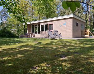 Terras van Vakantiehuisje in Winterswijk, perfect voor ontspannen in de Achterhoek.